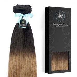 NWOT Zala Balayage 20in Clip In Hair Extensions